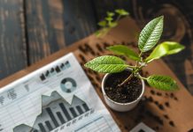 Inversiones Sostenibles: Oportunidades y Desafíos en un Mundo Verde